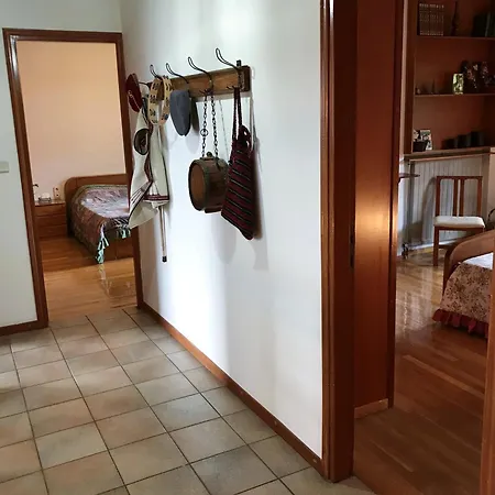 Natura Nest Polydorsos Polydrossos