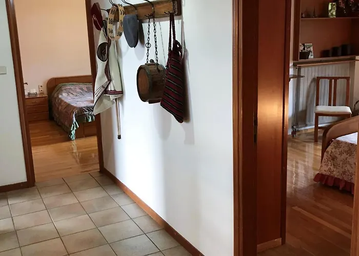 Natura Nest Polydorsos Polydrossos